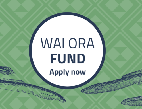 Apply now for Wai Ora funding 2022