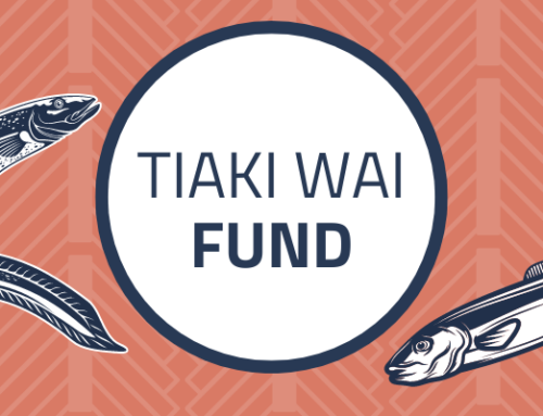 Apply now for Tiaki Wai Fund