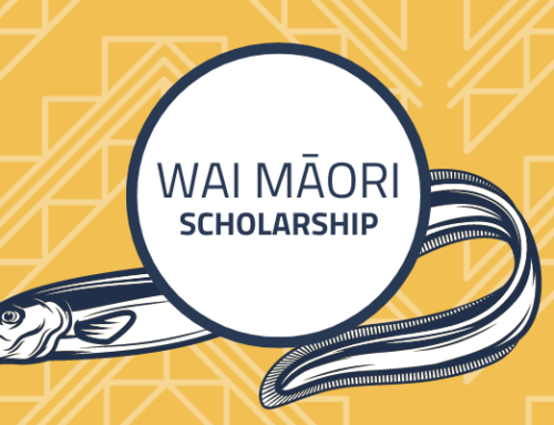 Applications are open for Wai Māori Scholarship