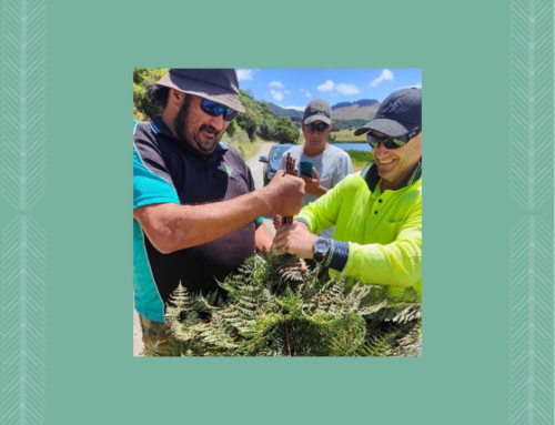 Lake Rotoroa – Ngāti Pāhauwera Development Trust